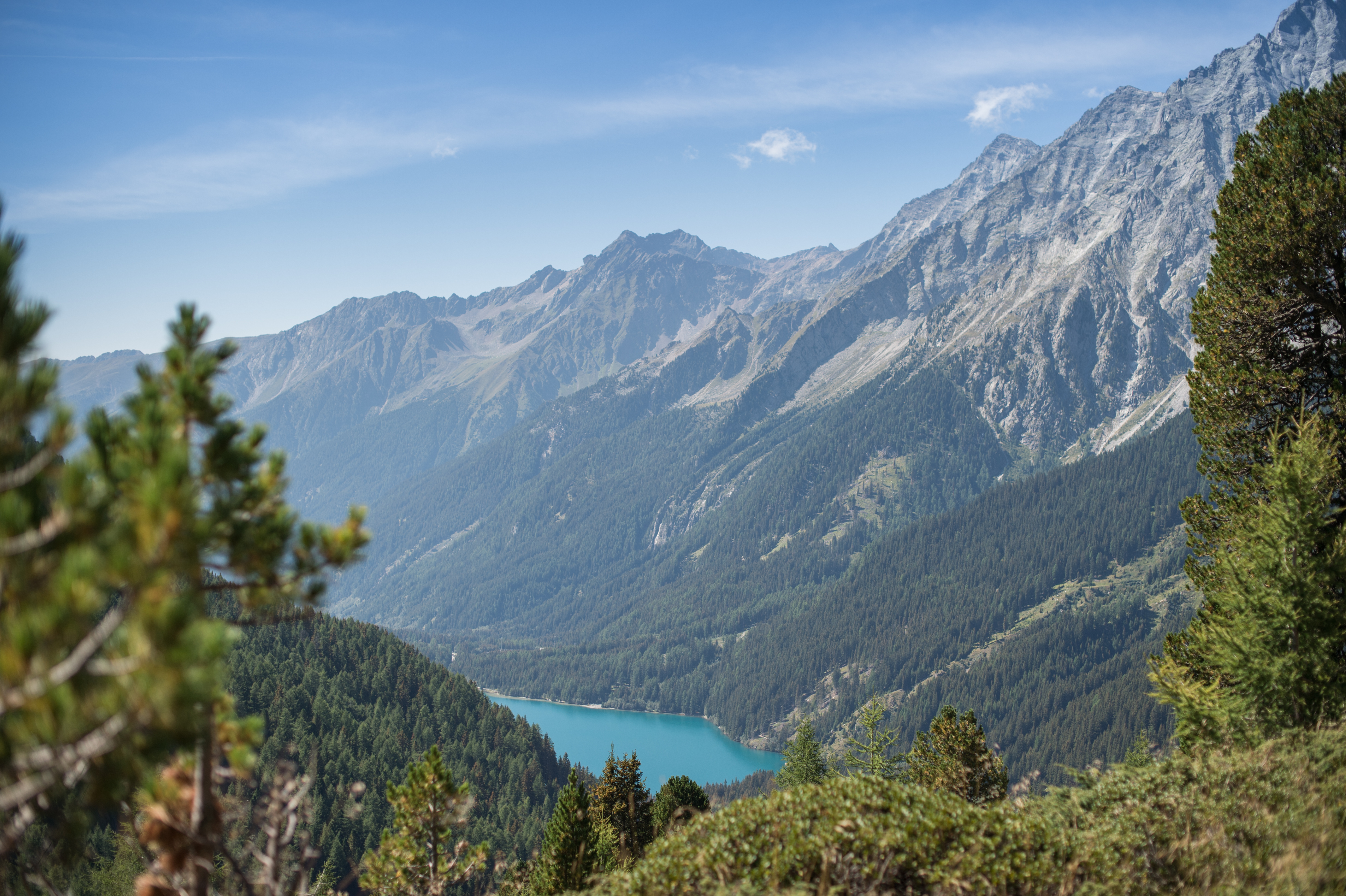 ©Www.Wisthaler.Com 15 08 TV Antholz Landschaft HAW 8637